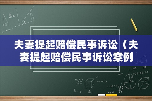 夫妻提起賠償民事訴訟（夫妻提起賠償民事訴訟案例）