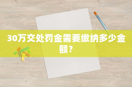 30萬(wàn)交處罰金需要繳納多少金額？