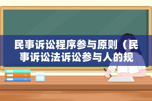 民事訴訟程序參與原則（民事訴訟法訴訟參與人的規(guī)定）