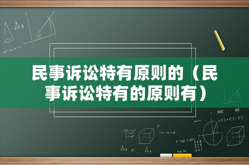 民事訴訟特有原則的（民事訴訟特有的原則有）