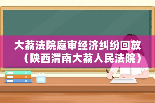 大荔法院庭審經(jīng)濟糾紛回放（陜西渭南大荔人民法院）