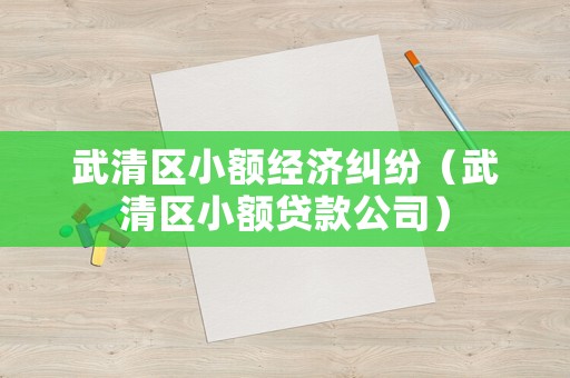 武清區(qū)小額經(jīng)濟糾紛（武清區(qū)小額貸款公司）