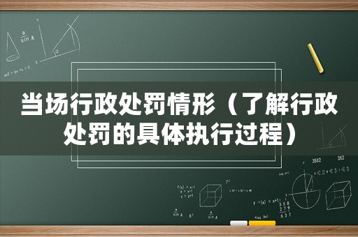 當(dāng)場行政處罰情形（了解行政處罰的具體執(zhí)行過程）