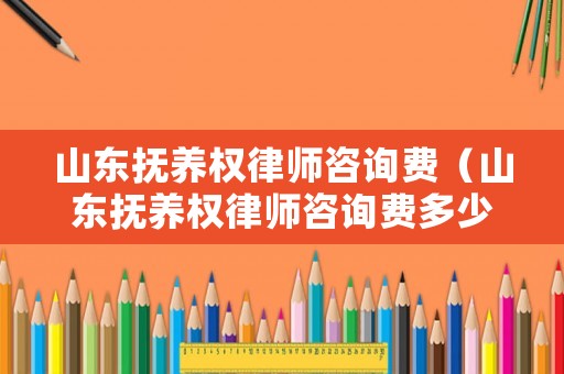 山東撫養(yǎng)權(quán)律師咨詢費(fèi)（山東撫養(yǎng)權(quán)律師咨詢費(fèi)多少）