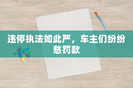 違停執(zhí)法如此嚴(yán)，車主們紛紛愁罰款