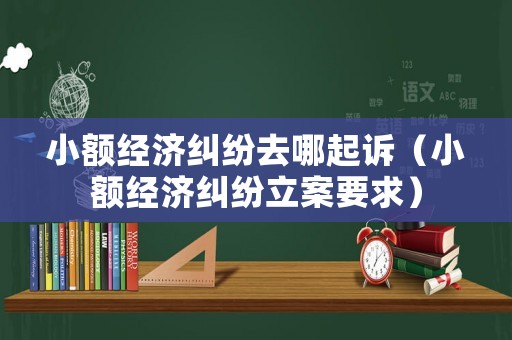 小額經(jīng)濟(jì)糾紛去哪起訴（小額經(jīng)濟(jì)糾紛立案要求）