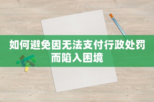 如何避免因無法支付行政處罰而陷入困境