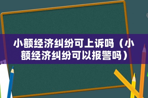 小額經(jīng)濟糾紛可上訴嗎（小額經(jīng)濟糾紛可以報警嗎）