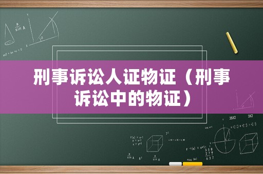 刑事訴訟人證物證（刑事訴訟中的物證）