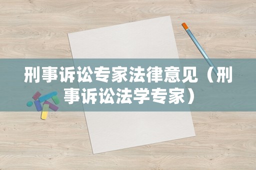 刑事訴訟專家法律意見（刑事訴訟法學(xué)專家）
