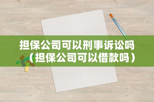 擔(dān)保公司可以刑事訴訟嗎（擔(dān)保公司可以借款嗎）