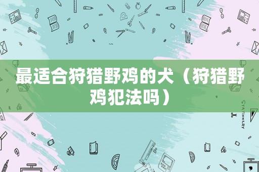 最適合狩獵野雞的犬（狩獵野雞犯法嗎）