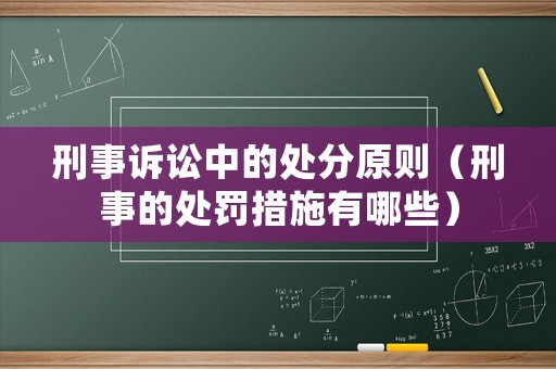 刑事訴訟中的處分原則（刑事的處罰措施有哪些）