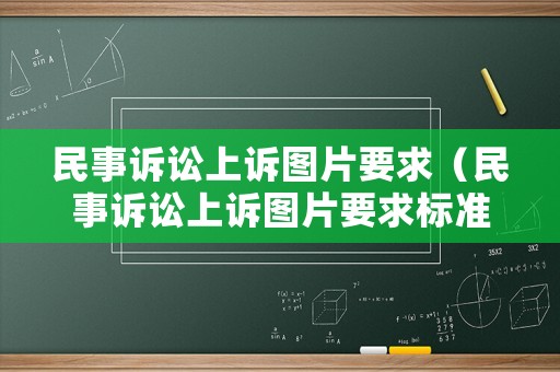 民事訴訟上訴圖片要求（民事訴訟上訴圖片要求標(biāo)準(zhǔn)）