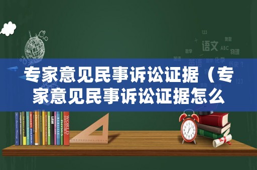 專家意見民事訴訟證據(jù)（專家意見民事訴訟證據(jù)怎么寫）