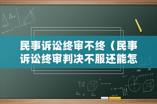 民事訴訟終審不終（民事訴訟終審判決不服還能怎么辦）