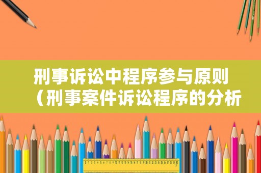 刑事訴訟中程序參與原則（刑事案件訴訟程序的分析思考）