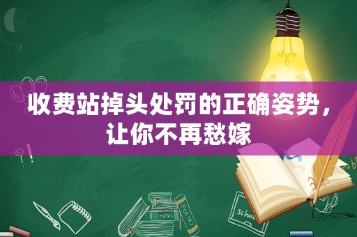 收費站掉頭處罰的正確姿勢，讓你不再愁嫁