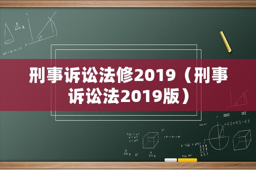 刑事訴訟法修2019（刑事訴訟法2019版）