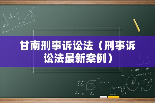 甘南刑事訴訟法（刑事訴訟法最新案例）