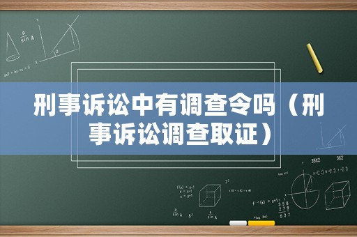 刑事訴訟中有調(diào)查令嗎（刑事訴訟調(diào)查取證）
