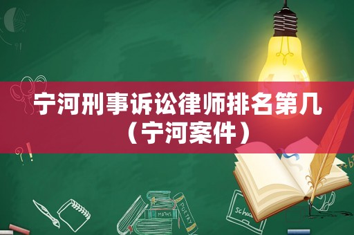 寧河刑事訴訟律師排名第幾（寧河案件）