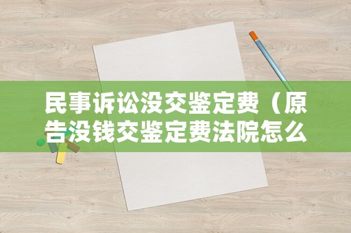 民事訴訟沒交鑒定費(fèi)（原告沒錢交鑒定費(fèi)法院怎么辦）