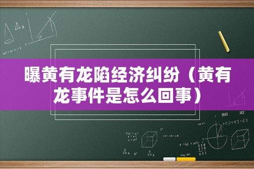 曝黃有龍陷經(jīng)濟(jì)糾紛（黃有龍事件是怎么回事）