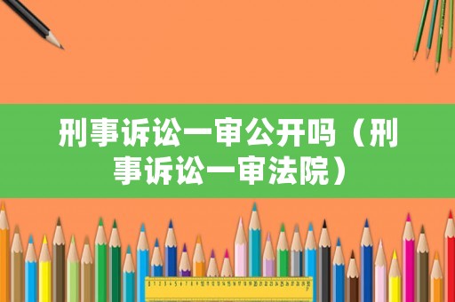 刑事訴訟一審公開嗎（刑事訴訟一審法院）