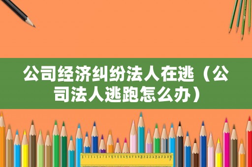 公司經(jīng)濟糾紛法人在逃（公司法人逃跑怎么辦）
