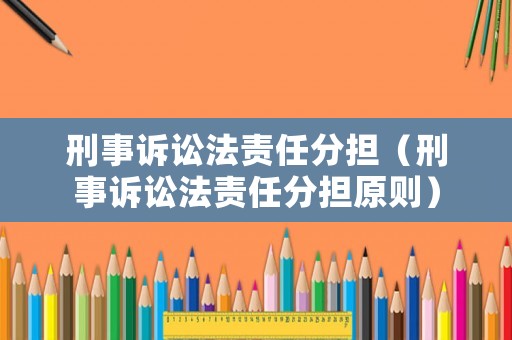 刑事訴訟法責(zé)任分擔(dān)（刑事訴訟法責(zé)任分擔(dān)原則）