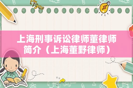 上海刑事訴訟律師董律師簡介（上海董野律師）