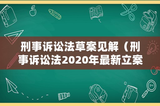 刑事訴訟法草案見解（刑事訴訟法2020年最新立案）