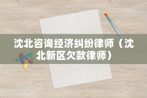沈北咨詢經(jīng)濟(jì)糾紛律師（沈北新區(qū)欠款律師）