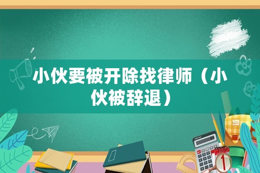 小伙要被開(kāi)除找律師（小伙被辭退）