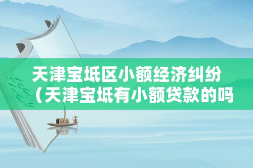 天津?qū)氎鎱^(qū)小額經(jīng)濟糾紛（天津?qū)氎嬗行☆~貸款的嗎）