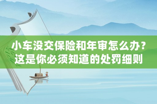 小車沒交保險和年審怎么辦？這是你必須知道的處罰細(xì)則