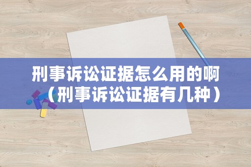 刑事訴訟證據(jù)怎么用的啊（刑事訴訟證據(jù)有幾種）
