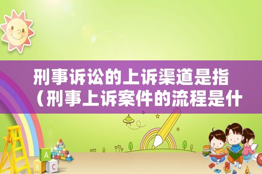 刑事訴訟的上訴渠道是指（刑事上訴案件的流程是什么）