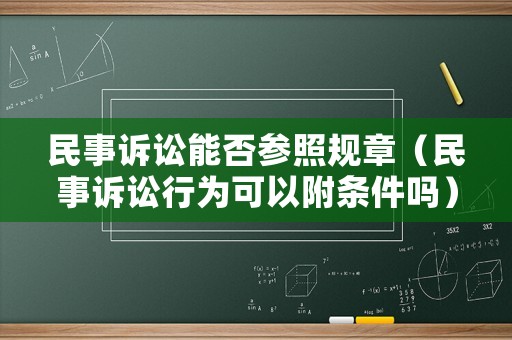 民事訴訟能否參照規(guī)章（民事訴訟行為可以附條件嗎）