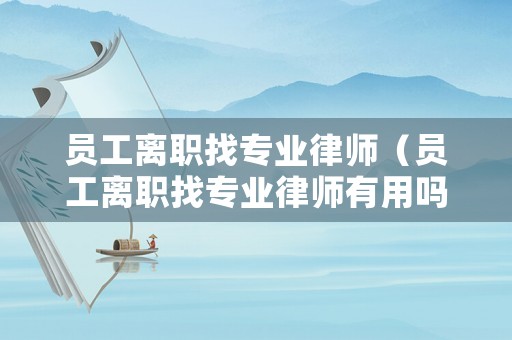 員工離職找專業(yè)律師（員工離職找專業(yè)律師有用嗎）