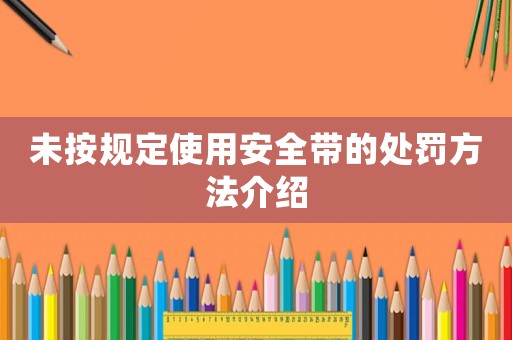 未按規(guī)定使用安全帶的處罰方法介紹
