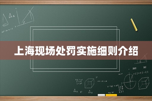 上海現(xiàn)場處罰實施細則介紹