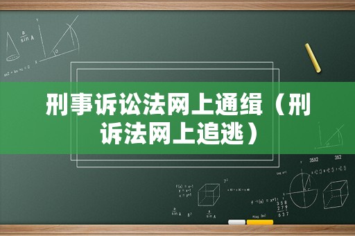 刑事訴訟法網(wǎng)上通緝（刑訴法網(wǎng)上追逃）