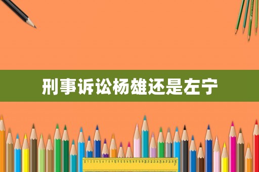 刑事訴訟楊雄還是左寧