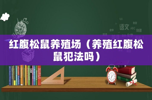 紅腹松鼠養(yǎng)殖場(chǎng)（養(yǎng)殖紅腹松鼠犯法嗎）
