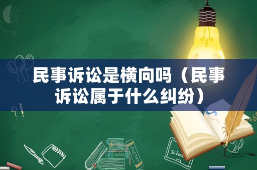 民事訴訟是橫向嗎（民事訴訟屬于什么糾紛）