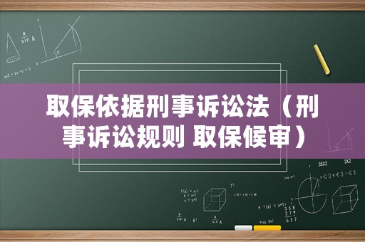 取保依據(jù)刑事訴訟法（刑事訴訟規(guī)則 取保候?qū)彛? title=