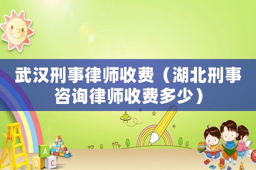 武漢刑事律師收費（湖北刑事咨詢律師收費多少）