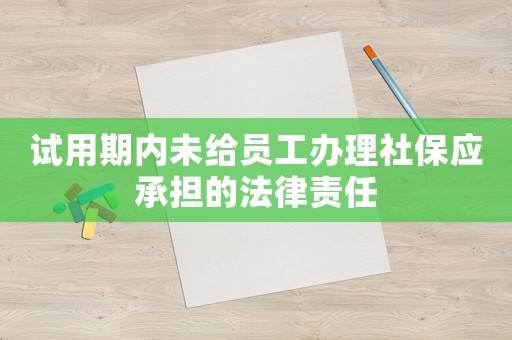 試用期內(nèi)未給員工辦理社保應(yīng)承擔(dān)的法律責(zé)任